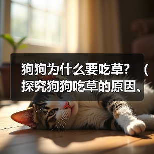 狗狗为什么要吃草?(探究狗狗吃草的原因、类型以及影响)(图1) 狗狗为什么要吃草?(探究狗狗吃草的原因、类型以及影响)(图1)