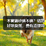 木薯猫砂值不值?结团好除臭强,贵有道理吗?(图4) 木薯猫砂值不值?结团好除臭强,贵有道理吗?(图4)