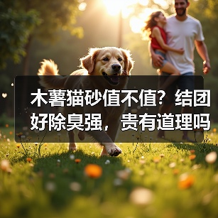 木薯猫砂值不值?结团好除臭强,贵有道理吗?(图2) 木薯猫砂值不值?结团好除臭强,贵有道理吗?(图2)