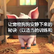 让宠物狗狗安静下来的秘诀（以适当的训练和生活习惯改变让狗狗更加平静）（图3）