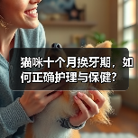 猫咪十个月换牙期,如何正确护理与保健?(图1) 猫咪十个月换牙期,如何正确护理与保健?(图1)