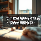 贵价猫砂除臭强不粘底?混合使用更划算?(图1) 贵价猫砂除臭强不粘底?混合使用更划算?(图1)