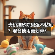 贵价猫砂除臭强不粘底?混合使用更划算?(图2) 贵价猫砂除臭强不粘底?混合使用更划算?(图2)