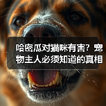 哈密瓜对猫咪有害?宠物主人必须知道的真相(图2) 哈密瓜对猫咪有害?宠物主人必须知道的真相(图2)