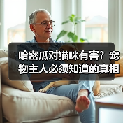 哈密瓜对猫咪有害?宠物主人必须知道的真相(图4) 哈密瓜对猫咪有害?宠物主人必须知道的真相(图4)