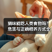 猫咪能吃人类食物吗？危害与正确喂养方式全解析（图1）