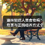 猫咪能吃人类食物吗？危害与正确喂养方式全解析（图3）