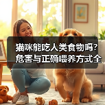 猫咪能吃人类食物吗？危害与正确喂养方式全解析（图2）