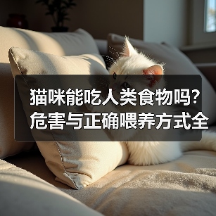 猫咪能吃人类食物吗？危害与正确喂养方式全解析（图4）