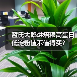 蓝氏大鹅烘焙粮高蛋白低淀粉值不值得买?(图2) 蓝氏大鹅烘焙粮高蛋白低淀粉值不值得买?(图2)