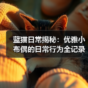 蓝猫日常揭秘:优雅小布偶的日常行为全记录(图2) 蓝猫日常揭秘:优雅小布偶的日常行为全记录(图2)