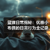 蓝猫日常揭秘:优雅小布偶的日常行为全记录(图4) 蓝猫日常揭秘:优雅小布偶的日常行为全记录(图4)