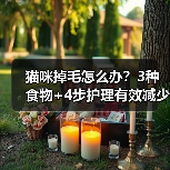 猫咪掉毛怎么办?3种食物+4步护理有效减少毛发脱落(图2) 猫咪掉毛怎么办?3种食物+4步护理有效减少毛发脱落(图2)