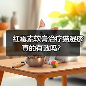 红霉素软膏治疗猫湿疹真的有效吗?(图2) 红霉素软膏治疗猫湿疹真的有效吗?(图2)
