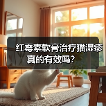 红霉素软膏治疗猫湿疹真的有效吗?(图1) 红霉素软膏治疗猫湿疹真的有效吗?(图1)