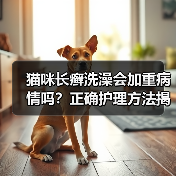 猫咪长癣洗澡会加重病情吗?正确护理方法揭秘!(图2) 猫咪长癣洗澡会加重病情吗?正确护理方法揭秘!(图2)