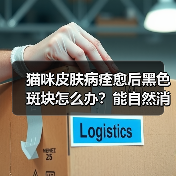 猫咪皮肤病痊愈后黑色斑块怎么办?能自然消退吗?(图2) 猫咪皮肤病痊愈后黑色斑块怎么办?能自然消退吗?(图2)