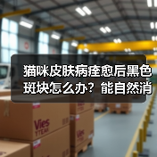 猫咪皮肤病痊愈后黑色斑块怎么办?能自然消退吗?(图4) 猫咪皮肤病痊愈后黑色斑块怎么办?能自然消退吗?(图4)