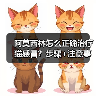 阿莫西林怎么正确治疗猫感冒?步骤+注意事项全解析(图4) 阿莫西林怎么正确治疗猫感冒?步骤+注意事项全解析(图4)