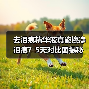 去泪痕精华液真能擦净泪痕？5天对比图揭秘（图4）