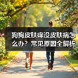 狗狗皮肤痒没皮肤病怎么办?常见原因全解析(图3) 狗狗皮肤痒没皮肤病怎么办?常见原因全解析(图3)