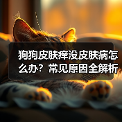 狗狗皮肤痒没皮肤病怎么办?常见原因全解析(图4) 狗狗皮肤痒没皮肤病怎么办?常见原因全解析(图4)