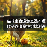 猫咪主食罐怎么选？短脖子乔治高性价比测评（图3）