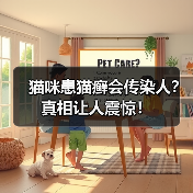 猫咪患猫癣会传染人?真相让人震惊!(图4) 猫咪患猫癣会传染人?真相让人震惊!(图4)