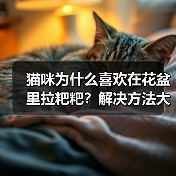 猫咪为什么喜欢在花盆里拉粑粑?解决方法大揭秘(图1) 猫咪为什么喜欢在花盆里拉粑粑?解决方法大揭秘(图1)