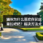 猫咪为什么喜欢在花盆里拉粑粑?解决方法大揭秘(图2) 猫咪为什么喜欢在花盆里拉粑粑?解决方法大揭秘(图2)