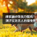 酵素猫砂除臭力强吗？测评实测夫人的猫使用效果（图1）