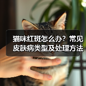猫咪红斑怎么办?常见皮肤病类型及处理方法(图2) 猫咪红斑怎么办?常见皮肤病类型及处理方法(图2)