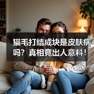 猫毛打结成块是皮肤病吗?真相竟出人意料!(图4) 猫毛打结成块是皮肤病吗?真相竟出人意料!(图4)