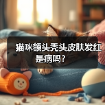 猫咪额头秃头皮肤发红是病吗?(图3) 猫咪额头秃头皮肤发红是病吗?(图3)