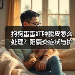 狗狗蛋蛋红肿脱皮怎么处理?阴囊炎症状与护理全解析(图4) 狗狗蛋蛋红肿脱皮怎么处理?阴囊炎症状与护理全解析(图4)