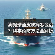 狗狗球菌皮肤病怎么治?科学预防方法全解析(图4) 狗狗球菌皮肤病怎么治?科学预防方法全解析(图4)