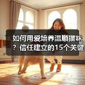如何用爱培养温顺猫咪?信任建立的15个关键技巧(图1) 如何用爱培养温顺猫咪?信任建立的15个关键技巧(图1)