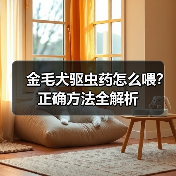 金毛犬驱虫药怎么喂？正确方法全解析（图4）