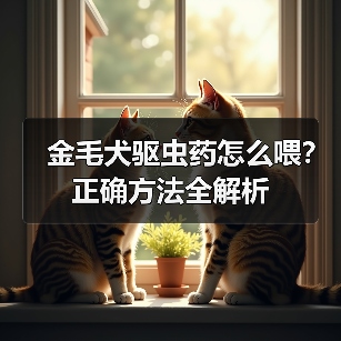 金毛犬驱虫药怎么喂？正确方法全解析（图3）