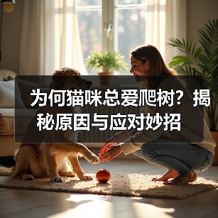 为何猫咪总爱爬树?揭秘原因与应对妙招(图2) 为何猫咪总爱爬树?揭秘原因与应对妙招(图2)