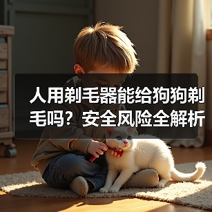 人用剃毛器能给狗狗剃毛吗?安全风险全解析(图3) 人用剃毛器能给狗狗剃毛吗?安全风险全解析(图3)