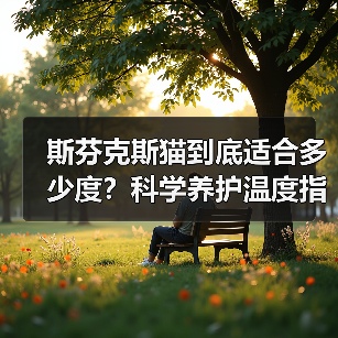 斯芬克斯猫到底适合多少度?科学养护温度指南(图4) 斯芬克斯猫到底适合多少度?科学养护温度指南(图4)