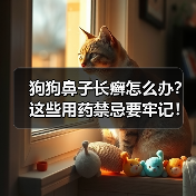 狗狗鼻子长癣怎么办?这些用药禁忌要牢记!(图4) 狗狗鼻子长癣怎么办?这些用药禁忌要牢记!(图4)