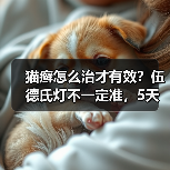 猫癣怎么治才有效？伍德氏灯不一定准，5天见效亲测推荐（图3）