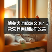 博美犬泪痕怎么治?5款营养狗粮助你改善(图1) 博美犬泪痕怎么治?5款营养狗粮助你改善(图1)