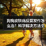 狗狗皮肤病反复发作怎么治?科学解决方法全解析(图4) 狗狗皮肤病反复发作怎么治?科学解决方法全解析(图4)