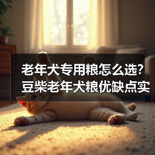 老年犬专用粮怎么选?豆柴老年犬粮优缺点实测(图2) 老年犬专用粮怎么选?豆柴老年犬粮优缺点实测(图2)