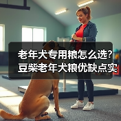 老年犬专用粮怎么选?豆柴老年犬粮优缺点实测(图3) 老年犬专用粮怎么选?豆柴老年犬粮优缺点实测(图3)