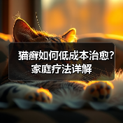 猫癣如何低成本治愈?家庭疗法详解(图3) 猫癣如何低成本治愈?家庭疗法详解(图3)
