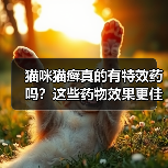 猫咪猫癣真的有特效药吗?这些药物效果更佳(图1) 猫咪猫癣真的有特效药吗?这些药物效果更佳(图1)